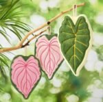 ০৪ পিস- Leaf Hangging Towel (পাতার তাওয়াল) - Image 4